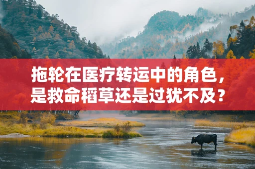 拖轮在医疗转运中的角色，是救命稻草还是过犹不及？
