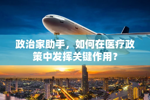 政治家助手，如何在医疗政策中发挥关键作用？
