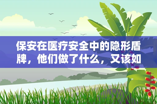 保安在医疗安全中的隐形盾牌，他们做了什么，又该如何被更好地理解？
