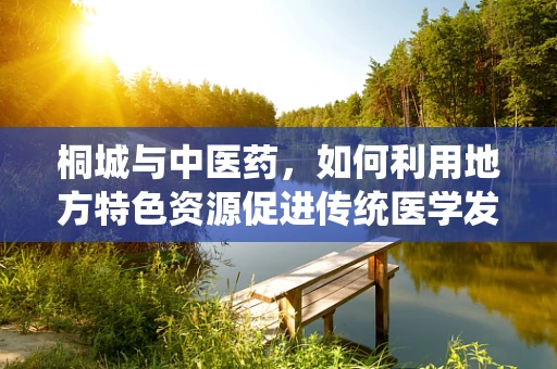 桐城与中医药，如何利用地方特色资源促进传统医学发展？