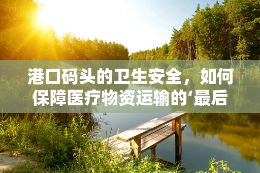 港口码头的卫生安全，如何保障医疗物资运输的‘最后一公里’？