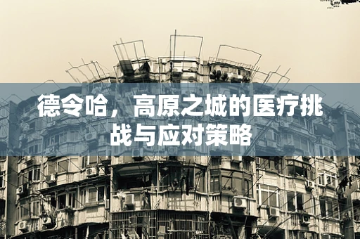 德令哈，高原之城的医疗挑战与应对策略