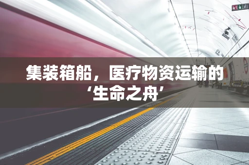 集装箱船，医疗物资运输的‘生命之舟’