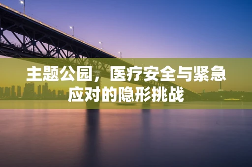 主题公园，医疗安全与紧急应对的隐形挑战