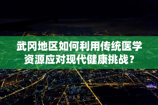 武冈地区如何利用传统医学资源应对现代健康挑战？