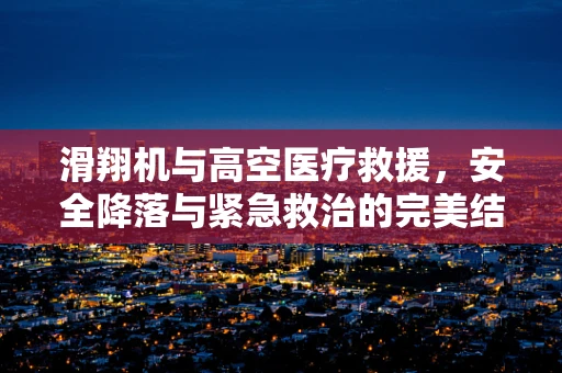 滑翔机与高空医疗救援，安全降落与紧急救治的完美结合？