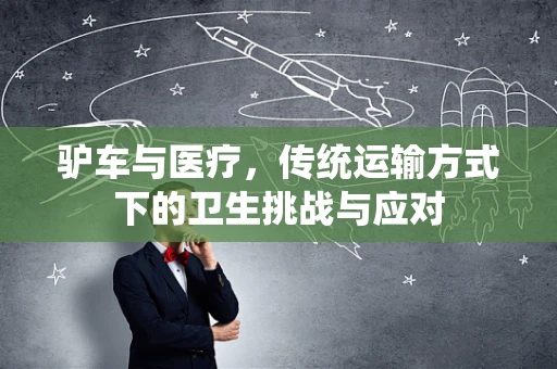 驴车与医疗，传统运输方式下的卫生挑战与应对