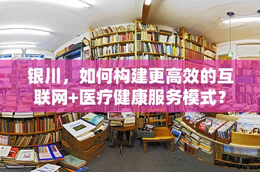 银川，如何构建更高效的互联网+医疗健康服务模式？