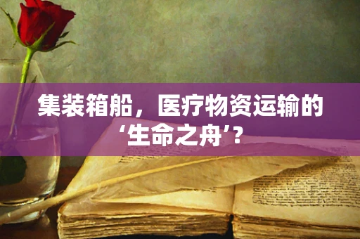 集装箱船，医疗物资运输的‘生命之舟’？