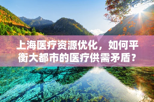 上海医疗资源优化，如何平衡大都市的医疗供需矛盾？