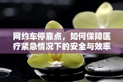 网约车停靠点，如何保障医疗紧急情况下的安全与效率？