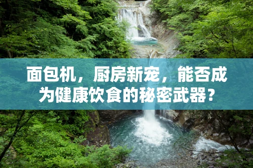 面包机，厨房新宠，能否成为健康饮食的秘密武器？
