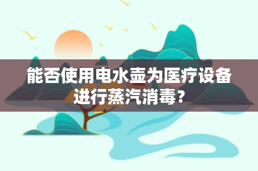 能否使用电水壶为医疗设备进行蒸汽消毒？