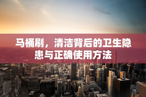 马桶刷，清洁背后的卫生隐患与正确使用方法