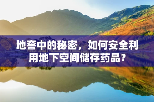 地窖中的秘密，如何安全利用地下空间储存药品？