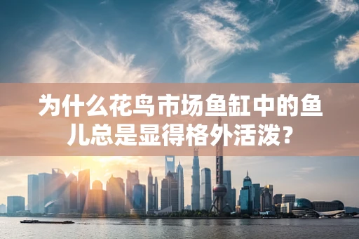 为什么花鸟市场鱼缸中的鱼儿总是显得格外活泼？