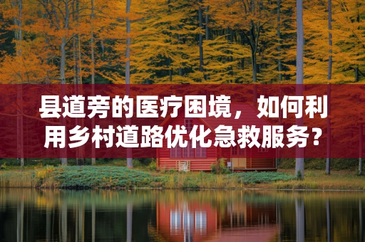 县道旁的医疗困境，如何利用乡村道路优化急救服务？