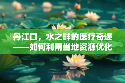 丹江口，水之畔的医疗奇迹——如何利用当地资源优化慢性病管理？