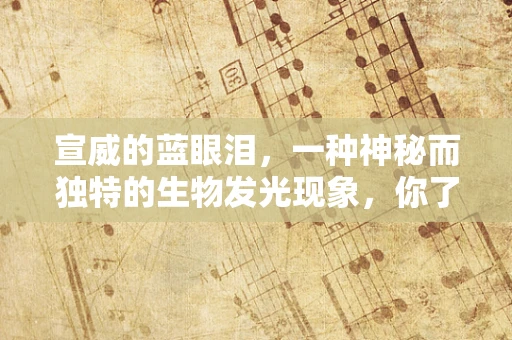 宣威的蓝眼泪，一种神秘而独特的生物发光现象，你了解多少？