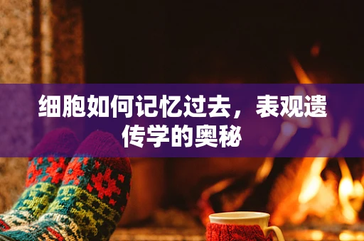 细胞如何记忆过去，表观遗传学的奥秘