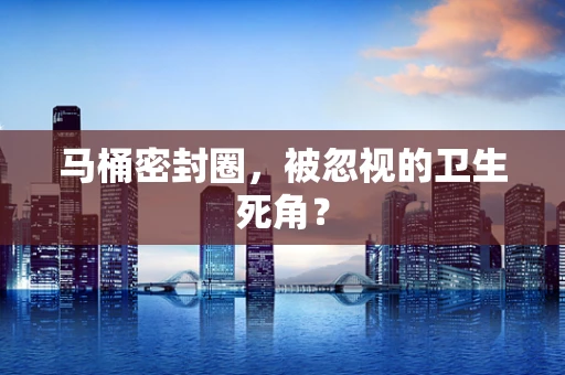 马桶密封圈，被忽视的卫生死角？