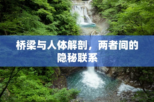 桥梁与人体解剖，两者间的隐秘联系