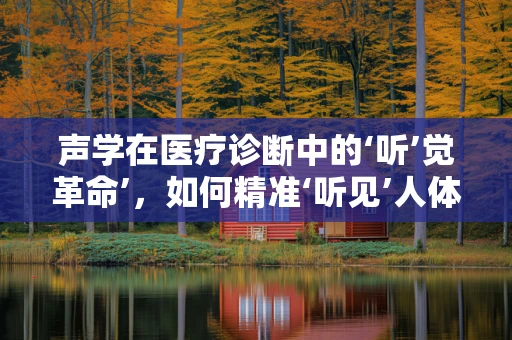 声学在医疗诊断中的‘听’觉革命’，如何精准‘听见’人体内部的秘密？