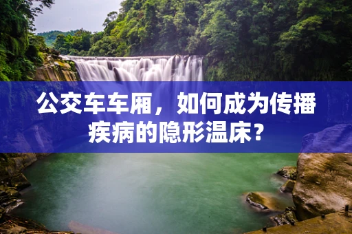 公交车车厢，如何成为传播疾病的隐形温床？