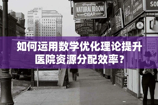 如何运用数学优化理论提升医院资源分配效率？