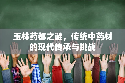 玉林药都之谜，传统中药材的现代传承与挑战