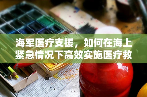 海军医疗支援，如何在海上紧急情况下高效实施医疗救治？