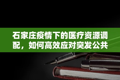石家庄疫情下的医疗资源调配，如何高效应对突发公共卫生事件？
