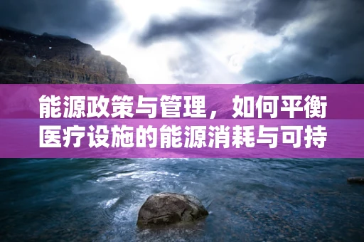 能源政策与管理，如何平衡医疗设施的能源消耗与可持续发展？