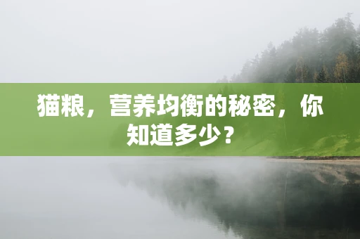 猫粮，营养均衡的秘密，你知道多少？