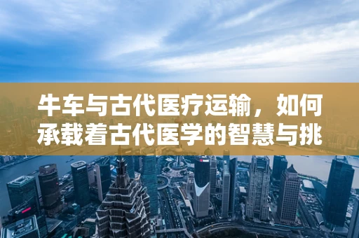 牛车与古代医疗运输，如何承载着古代医学的智慧与挑战？