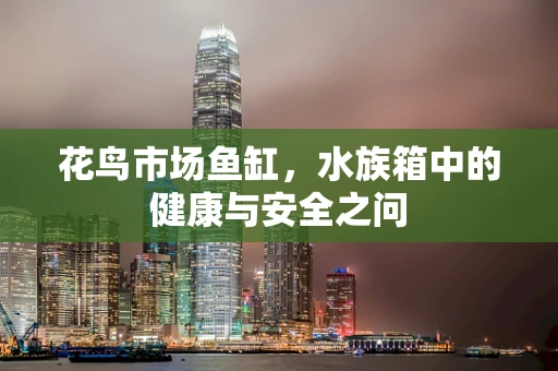 花鸟市场鱼缸，水族箱中的健康与安全之问