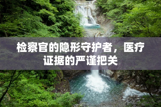 检察官的隐形守护者，医疗证据的严谨把关