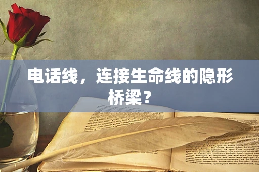 电话线，连接生命线的隐形桥梁？