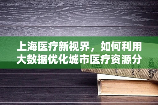 上海医疗新视界，如何利用大数据优化城市医疗资源分配？
