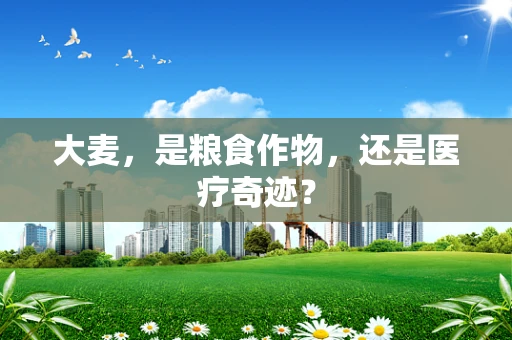大麦，是粮食作物，还是医疗奇迹？
