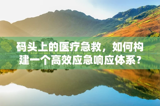 码头上的医疗急救，如何构建一个高效应急响应体系？