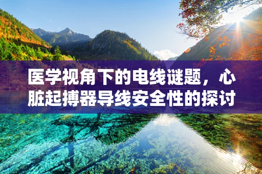 医学视角下的电线谜题，心脏起搏器导线安全性的探讨