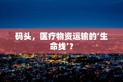 码头，医疗物资运输的‘生命线’？