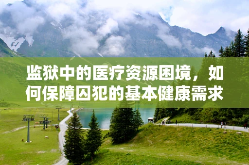 监狱中的医疗资源困境，如何保障囚犯的基本健康需求？