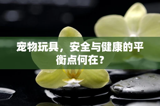宠物玩具，安全与健康的平衡点何在？