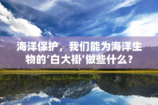 海洋保护，我们能为海洋生物的‘白大褂’做些什么？
