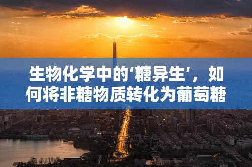生物化学中的‘糖异生’，如何将非糖物质转化为葡萄糖？