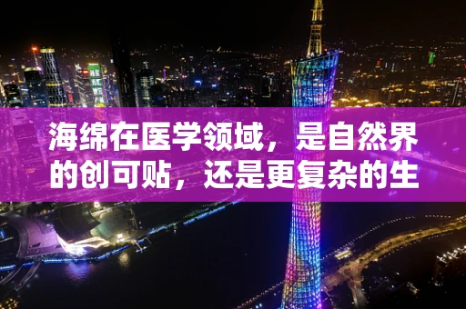 海绵在医学领域，是自然界的创可贴，还是更复杂的生物敷料？