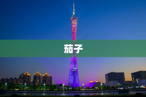 茄子