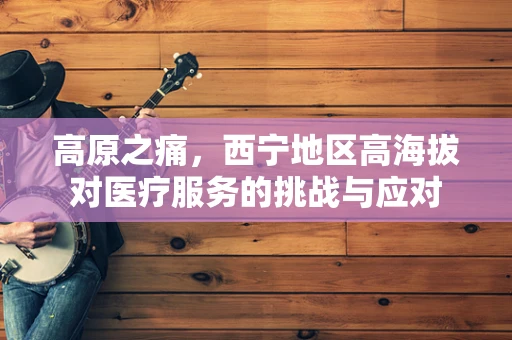 高原之痛，西宁地区高海拔对医疗服务的挑战与应对